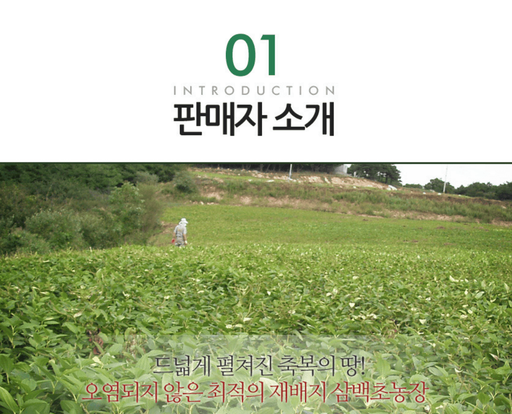 녹보환 50g