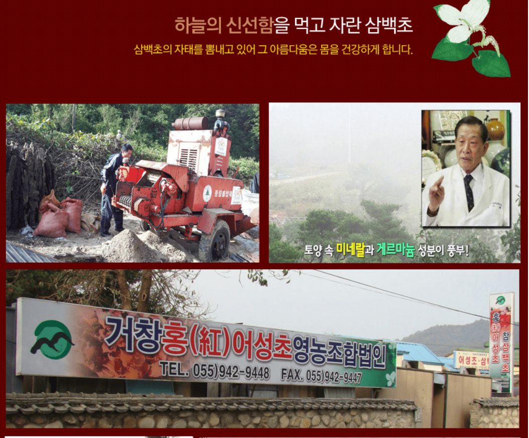 녹보환 50g